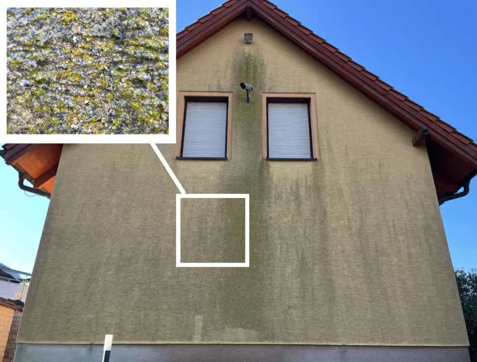 špinavá fasáda plná rias a plesní