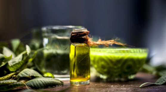 Nimbový olej (neem olej) – zázrak prírody pre pokožku, vlasy aj zdravie