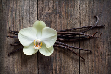 Vanilkový struk: Prečo sa ho oplatí používať v kuchyni častejšie?