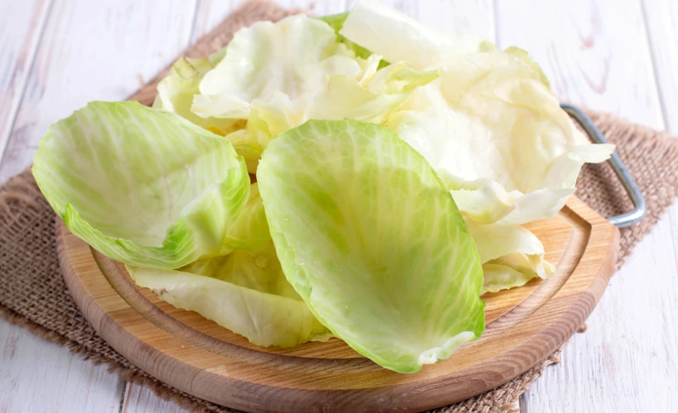 obklad z kapustového listu