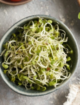 Vypestujte si brokolicové klíčky! Prečo sú lepšie ako samotná brokolica a ako ich pripraviť?