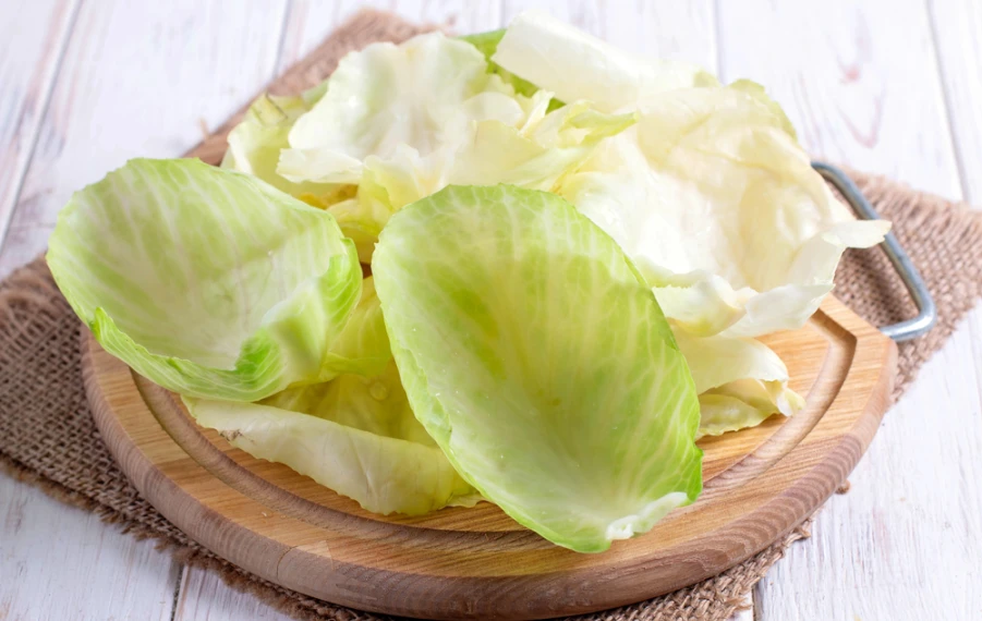 obklad z kapustového listu