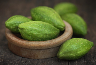 Haritaki (Terminalia chebula): Poklad ajurvédy pre zdravé trávenie aj mozog