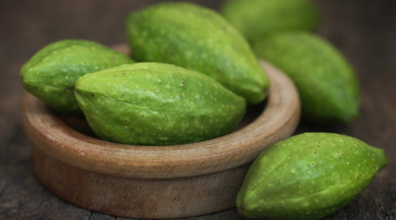 Haritaki (Terminalia chebula): Poklad ajurvédy pre zdravé trávenie aj mozog