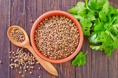 Koriander siaty je skvelý pre zdravie! Ako využiť jeho semená aj vňať?