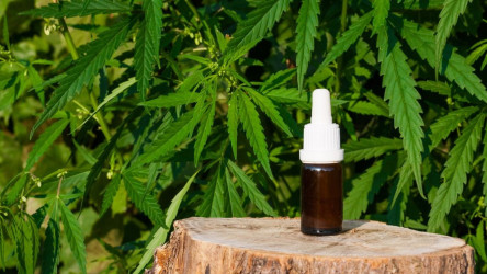 Fénixove slzy: Čo je realita a čo fikcia?