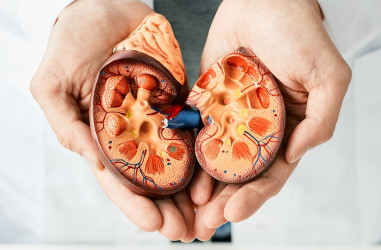 Akútne alebo chronické zlyhanie obličiek – ktoré príznaky neignorovať?