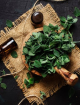 Oreganový olej: Týchto jeho 9 účinkov je na nezaplatenie!