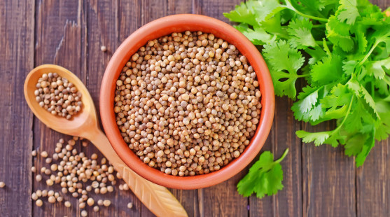 Koriander siaty je skvelý pre zdravie! Ako využiť jeho semená aj vňať?