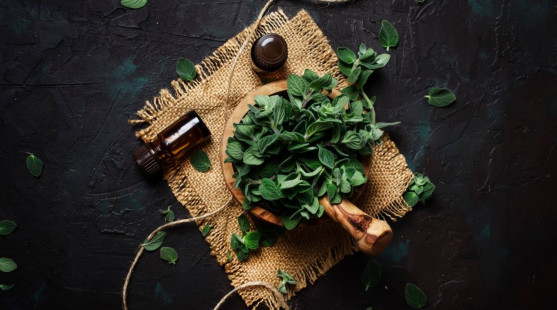 Oreganový olej: Týchto jeho 9 účinkov je na nezaplatenie!