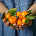 Poznáte účinky mandarínok? Takto dokážu pomôcť nášmu zdraviu