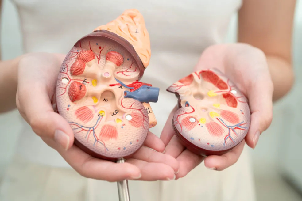 Možnosti liečby rakoviny obličiek