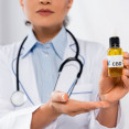 CBD olej – aké má účinky a ako ho užívať zvnútra i zvonka?
