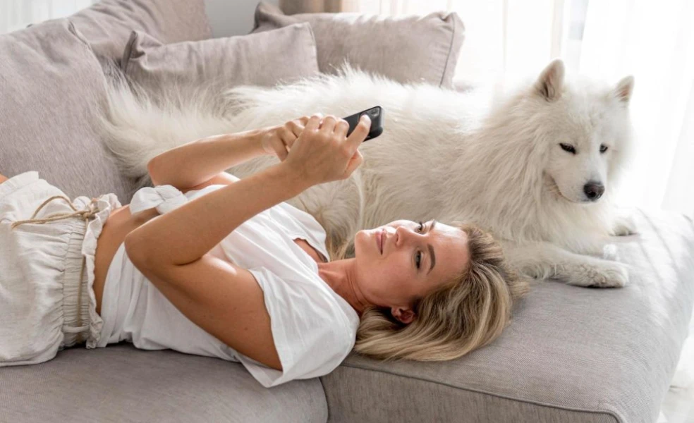 Klimatizácia a domáce zvieratá