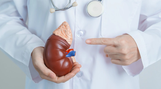 Nefroblastóm alebo Wilmsov nádor – týka sa najmä tejto skupiny ľudí!