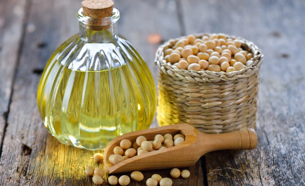 sójový olej