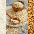 Tipy, ako správne variť obilniny – ktoré obilniny treba namočiť?