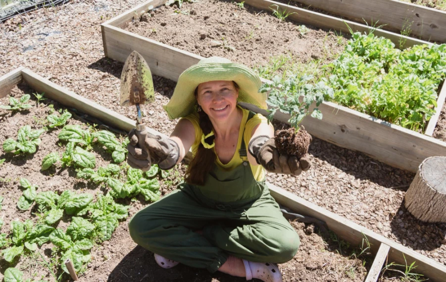 ako začať pestovať zeleninu