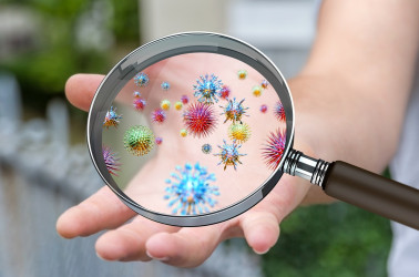 KVÍZ: Baktérie a vírusy – máte o nich dostatok vedomostí?