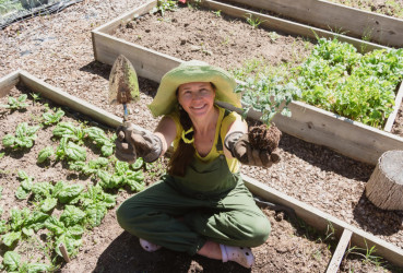 Chcete si začať pestovať zeleninu v záhrade? Tu je prehľadný manuál pre začiatočníkov