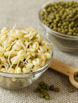 Ako naklíčiť mungo fazule? Pochutnaj si na zdravých klíčkoch aj ty!