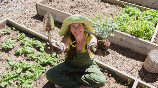 Chcete si začať pestovať zeleninu v záhrade? Tu je prehľadný manuál pre začiatočníkov