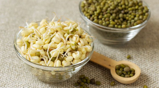 Ako naklíčiť mungo fazule? Pochutnaj si na zdravých klíčkoch aj ty!