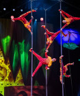 Ako vzniká OVO? Nahliadnite do zákulisia jednej z najslávnejších šou Cirque du Soleil