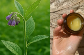Domáca kostihojová masť: Recept, použitie a bezpečnosť